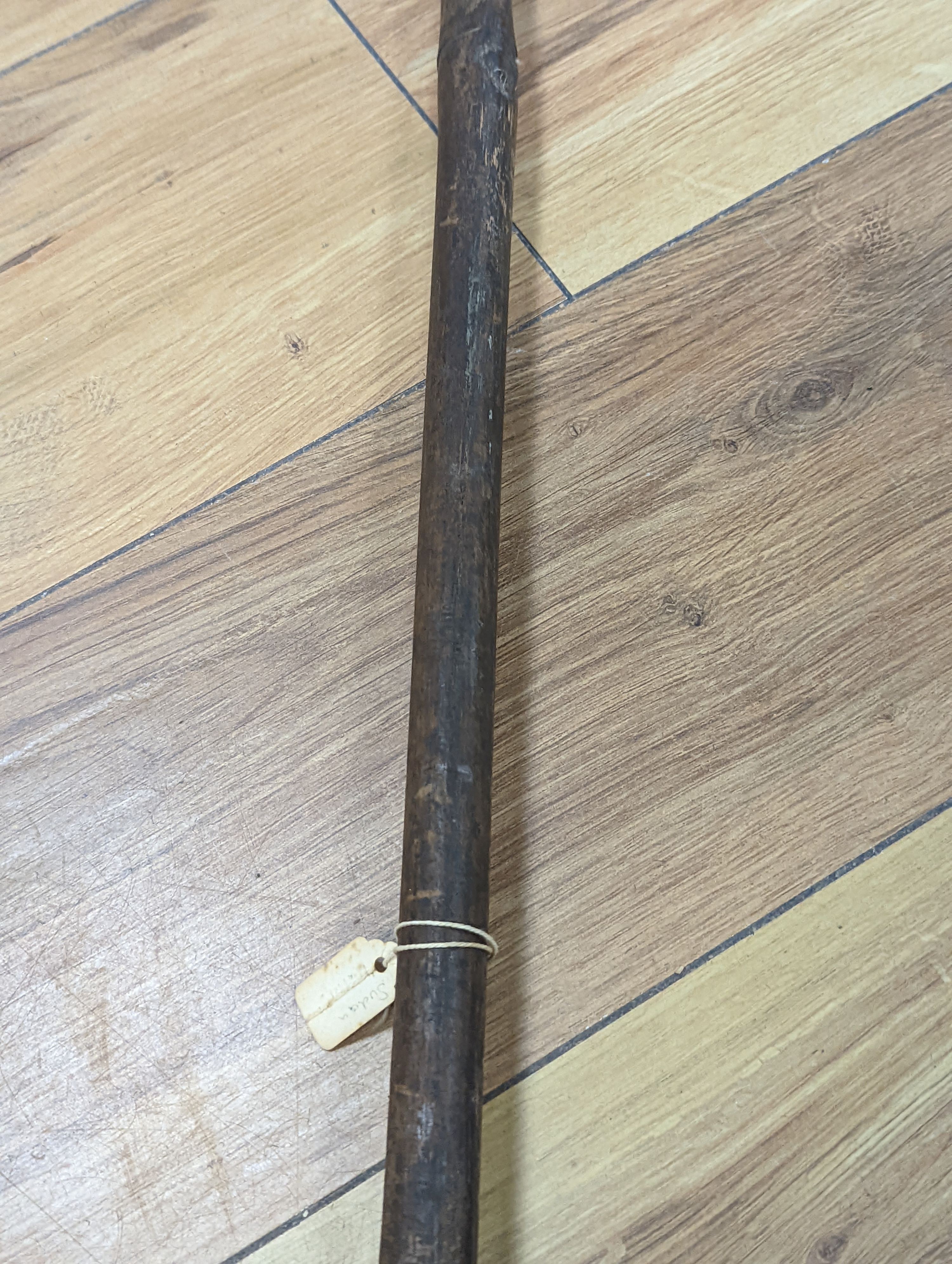 Two East Africa, Transvaal (Zululand) spears, 236cm